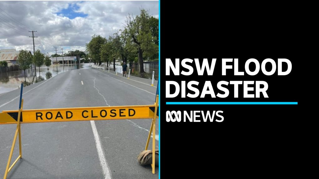 Evacuations and clean-ups across New South Wales, as state floods - ABC ...