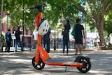 An e-scooter standing unattended in a leafy area of a city.