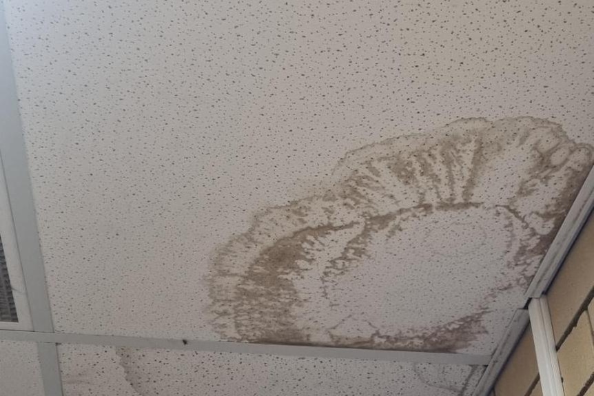 mould on a ceiling