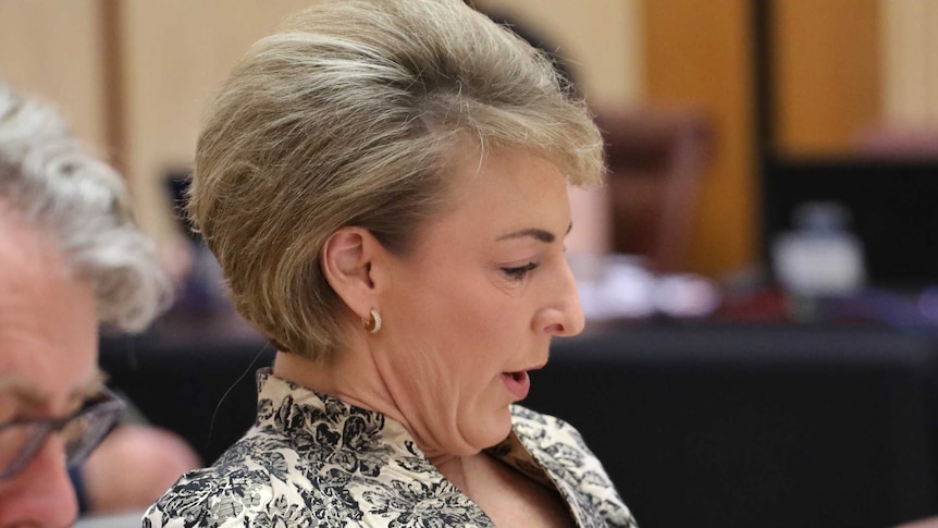 Side view of Michaelia Cash as she looks down and speaks during a Senate Estimates hearing.