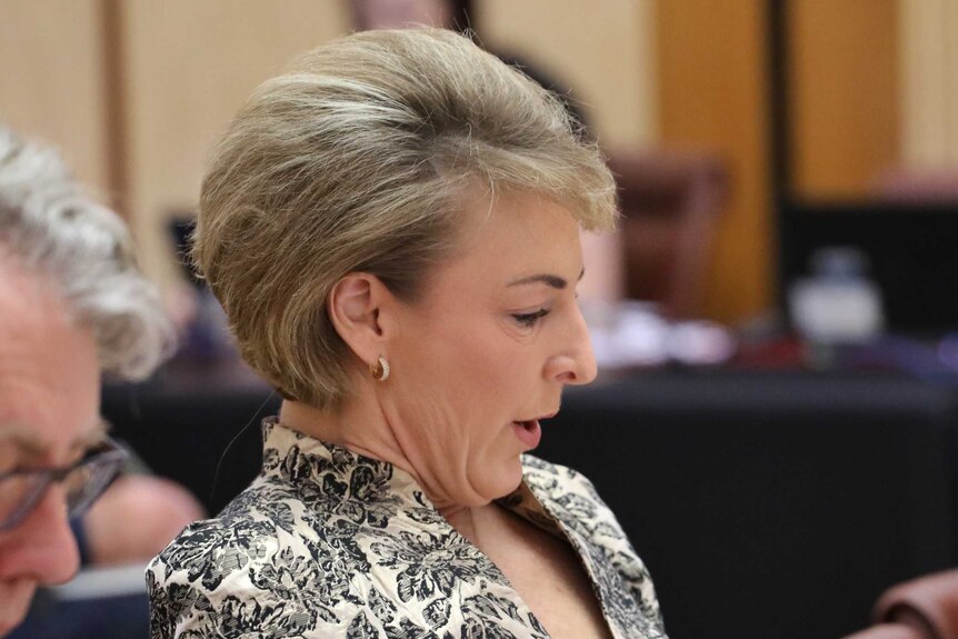 Side view of Michaelia Cash as she looks down and speaks during a Senate Estimates hearing.