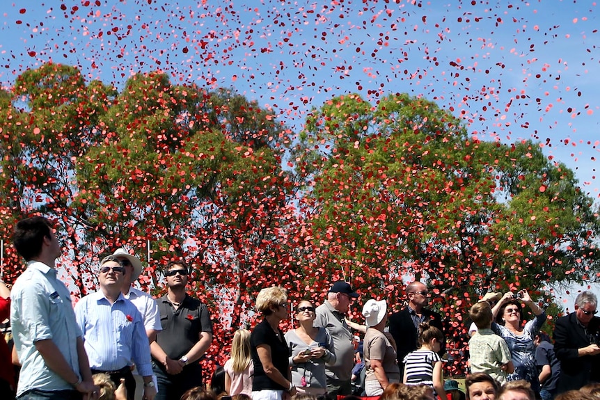 Poppies fall from the sky during Remembrance Day commemorations at Brighton Secondary School.