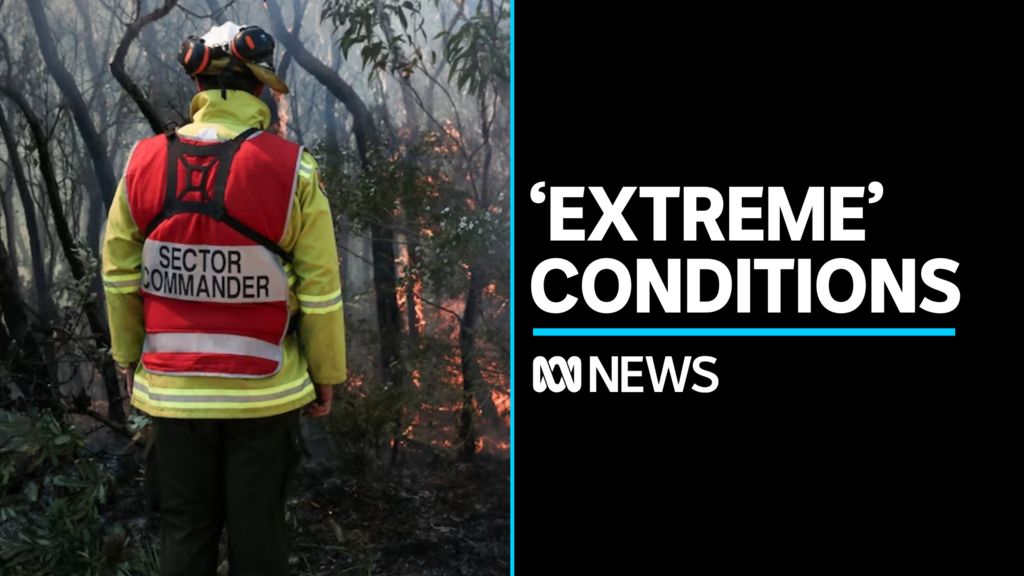 Homes at risk as bushfires rage across NSW - ABC News
