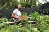 Restaurant and cafe owner Tristan Grier in a vegetable patch with a box of fresh produce.
