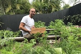 Restaurant and cafe owner Tristan Grier in a vegetable patch with a box of fresh produce.
