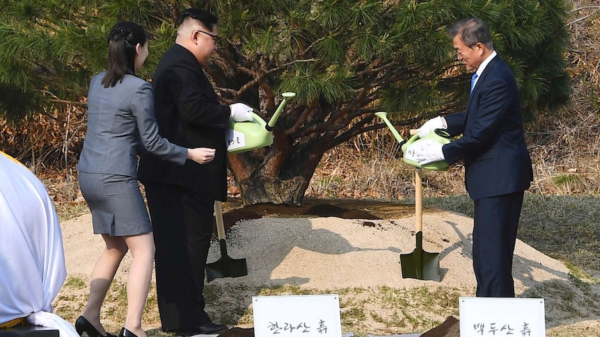 Symbolic tree planting