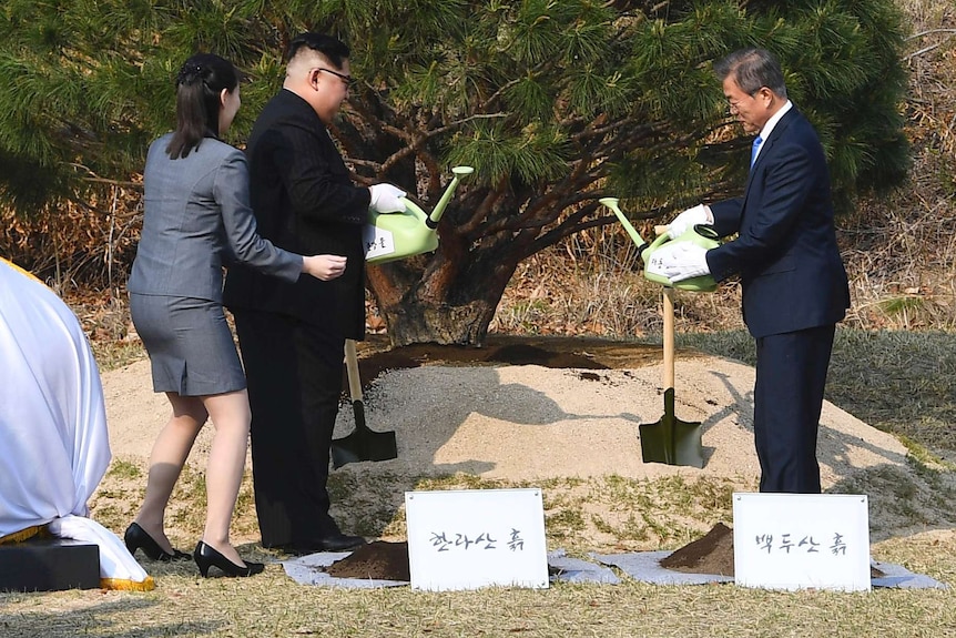 Symbolic tree planting