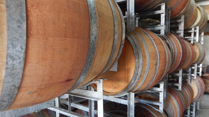 Wine barrels at a Riverland winery.