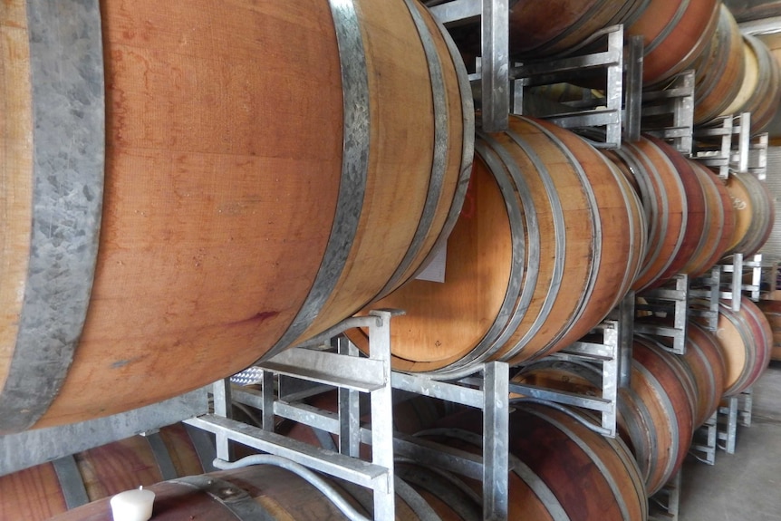 Wine barrels at a Riverland winery.