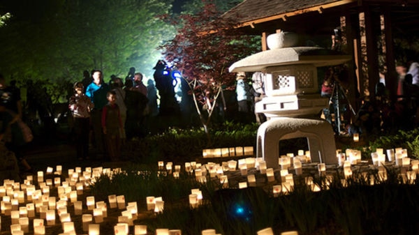 More than 2,000 candles will illuminate Nara Park on Saturday night.