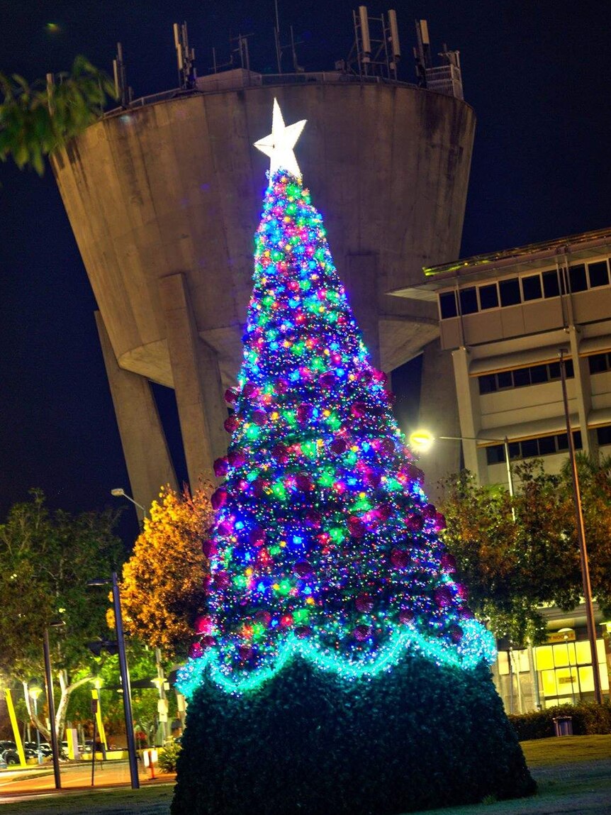Palmerston's Christmas tree, which features a wire frame tethered to a concrete block, in order to render it cyclone proof.