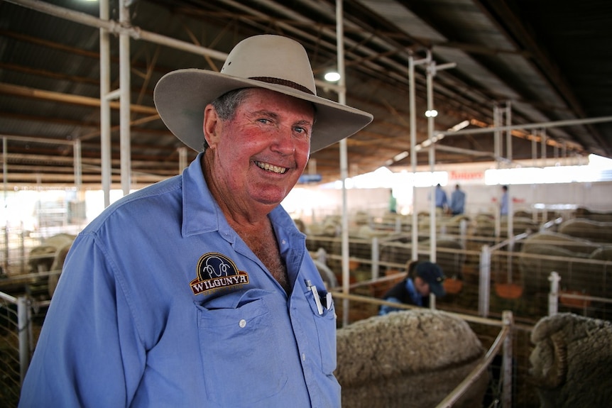 Max Wilson at the Queensland State Sheep Show