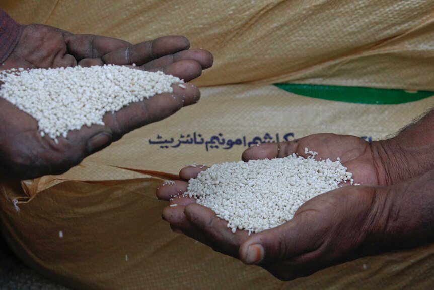 Two hands hold thousands of white granules in front of a plastic fertiliser bag.