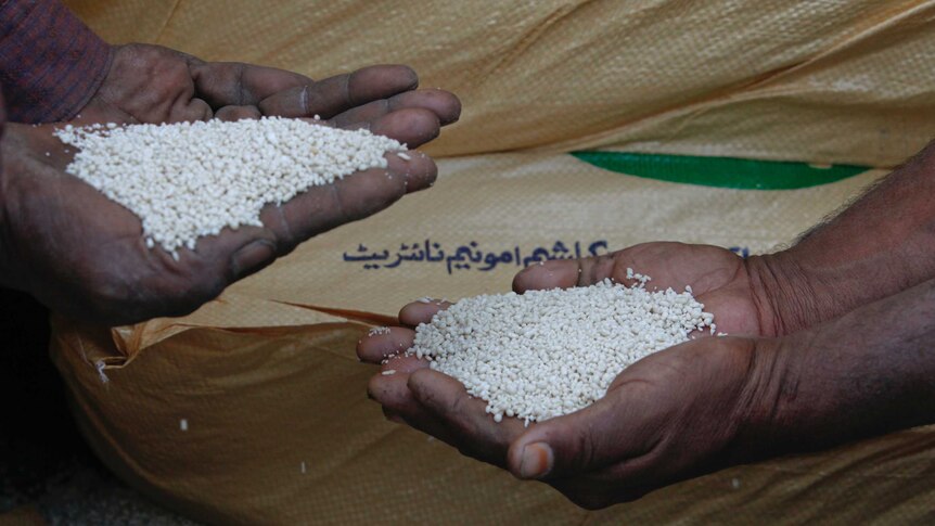 Two hands hold thousands of white granules in front of a plastic fertiliser bag.