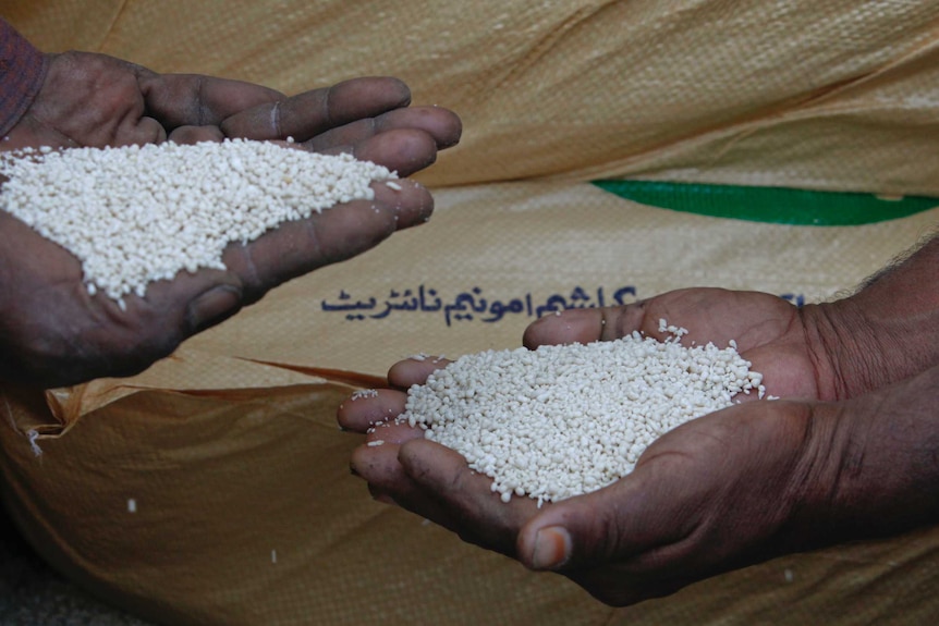 Two hands hold thousands of white granules in front of a plastic fertiliser bag.