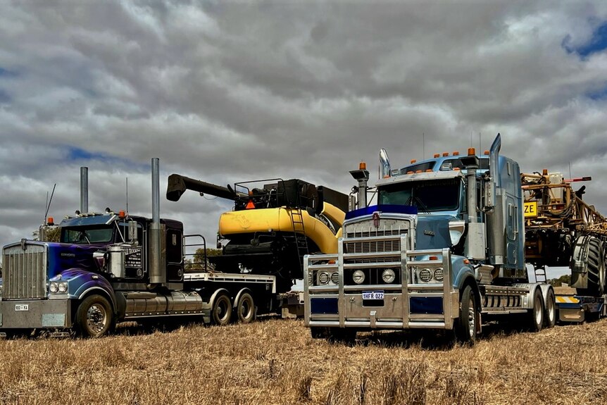 Two trucks parked next to each other in a grain paddock.