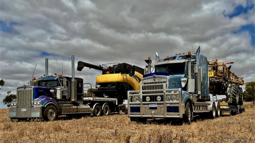 Two trucks lined up next to each other in a grain paddock.