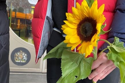 Sunflowers outside court