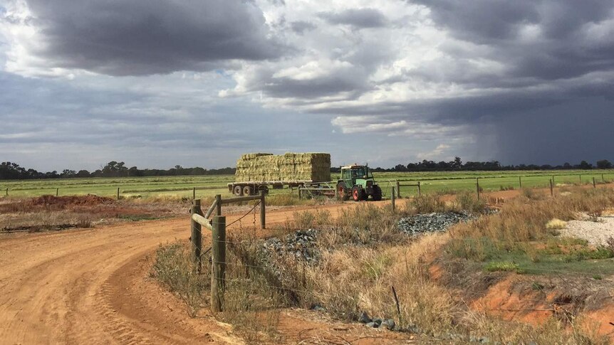 A tractor pulls a long trailer with baled hay in a paddock, under a grey, cloudy sky.