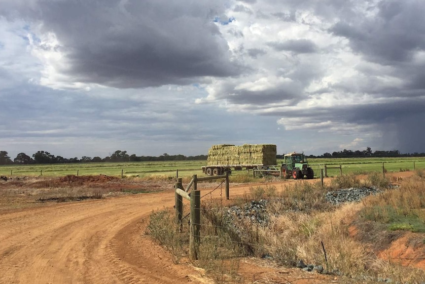 A tractor pulls a long trailer with baled hay in a paddock, under a grey, cloudy sky.