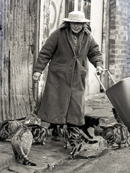 A woman tends to cats on Little Napier Street.