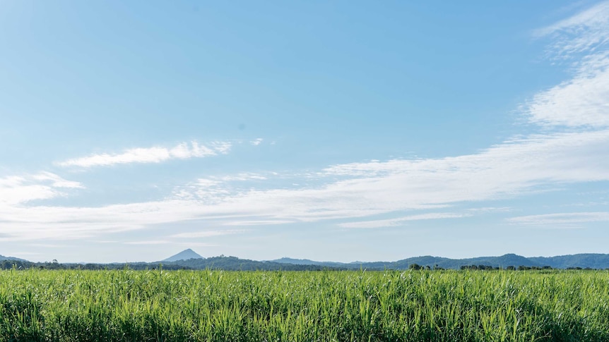 A view of greenery and mountains in the seat of Fairfax on June 10, 2016.