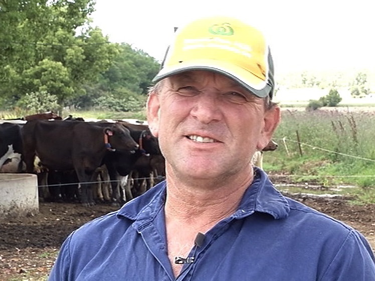 Adrian Drury being interviewed own a farm with cows in the background.