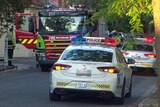 A fire engine and two police cars in a narrow street