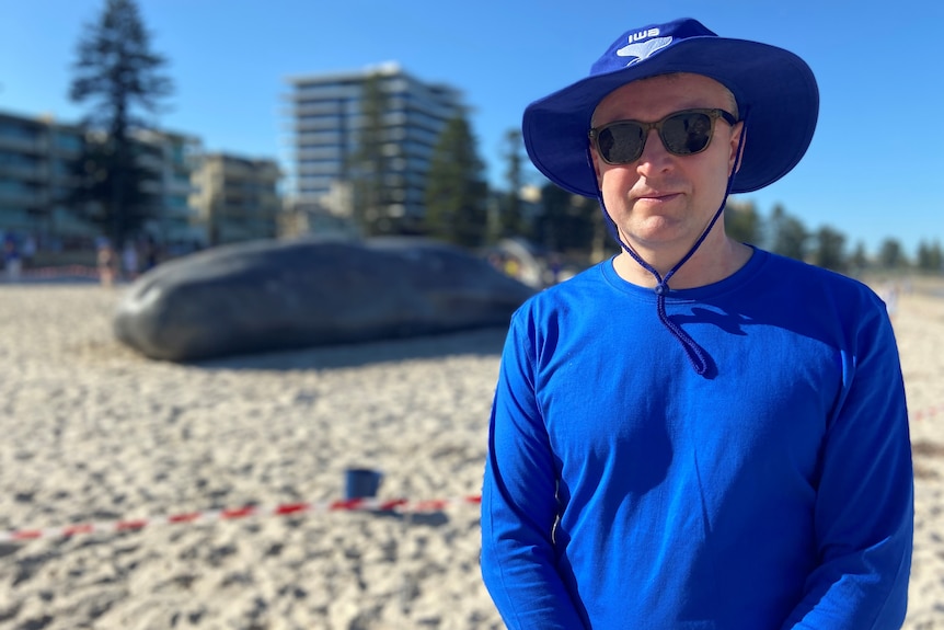 Un hombre con un top azul y un sombrero se encuentra junto a una gran ballena en la playa.
