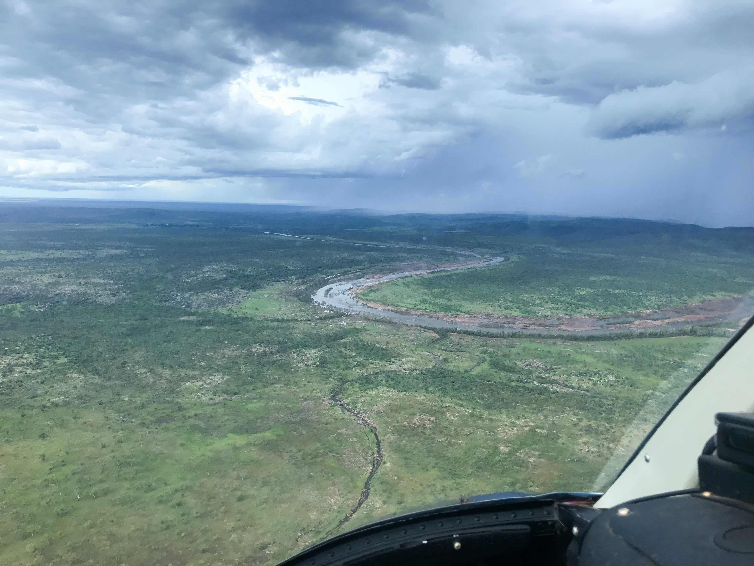 First helicopter drops of cane toad sausages prompt design tweak ABC News