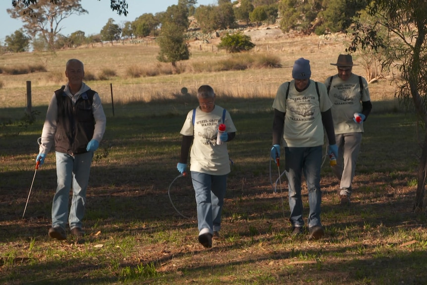 Four people are walking wearing backpacks filled with pesticides. 