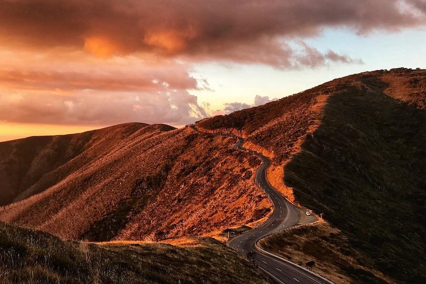 The Great Alpine Road winds through bushland.