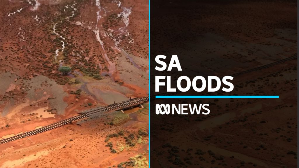 Food shortages as South Australia declares emergency - ABC News