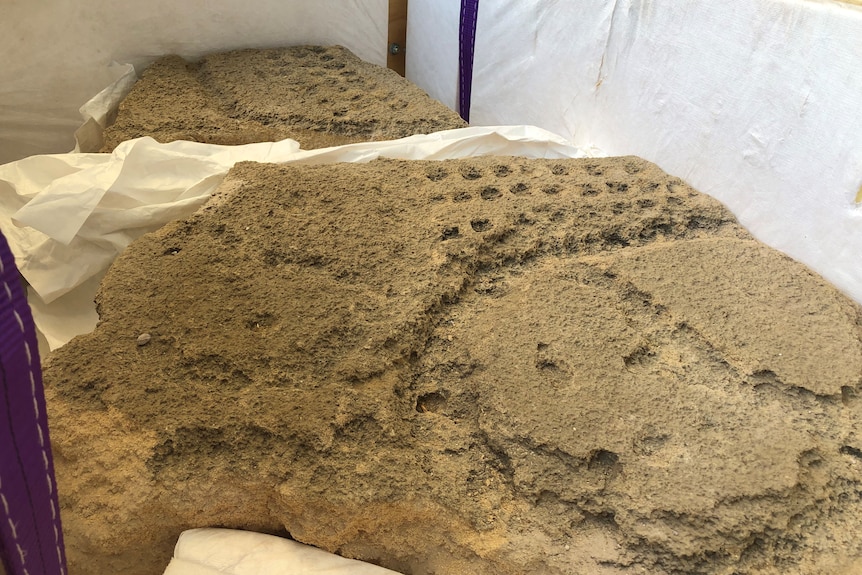 Rock carvings in a crate.