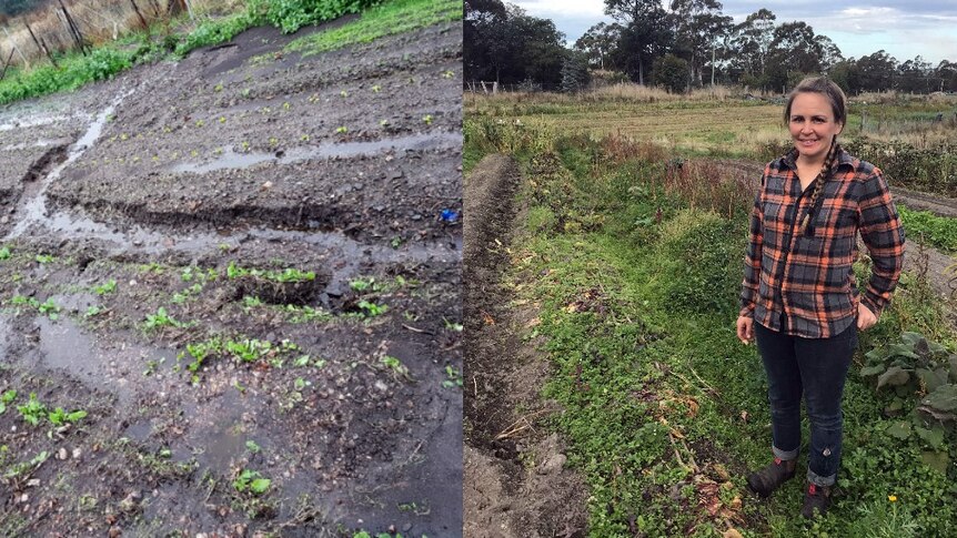 Paulette Whitney stands next to a water logged market garden