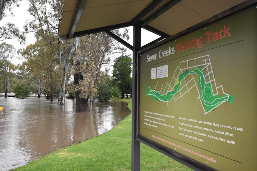 The Seven Creeks walking track is underwater after heavy rainfall.