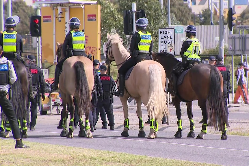 A line of police on horses in front of a group of protesters.