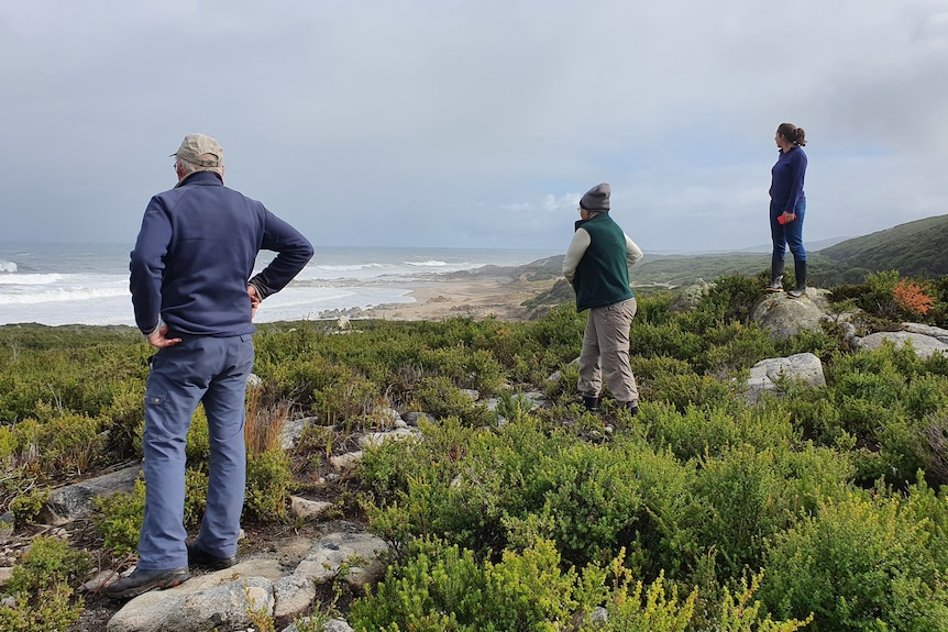 Three people standing in native vegetation overlooking a beach
