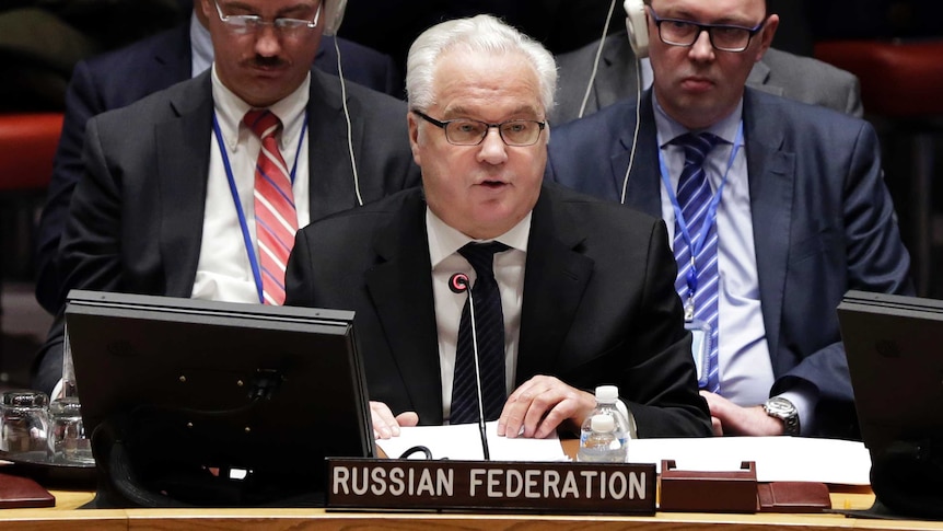 Vitaly Churkin addresses a UN Security Council meeting.