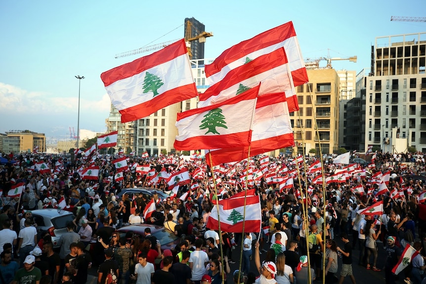 Protesters with flags