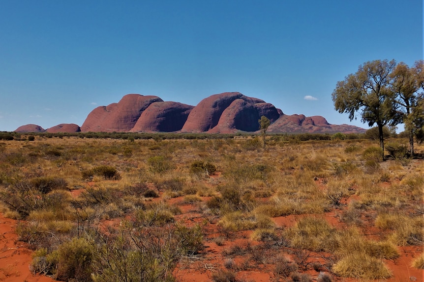 Uluru in the day with blue skies.
