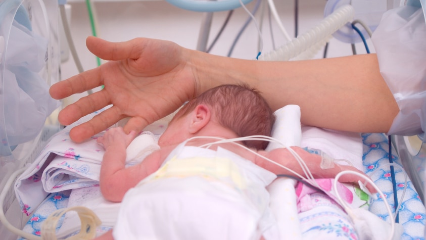 Hand of the physician and newborn in incubator in hospital