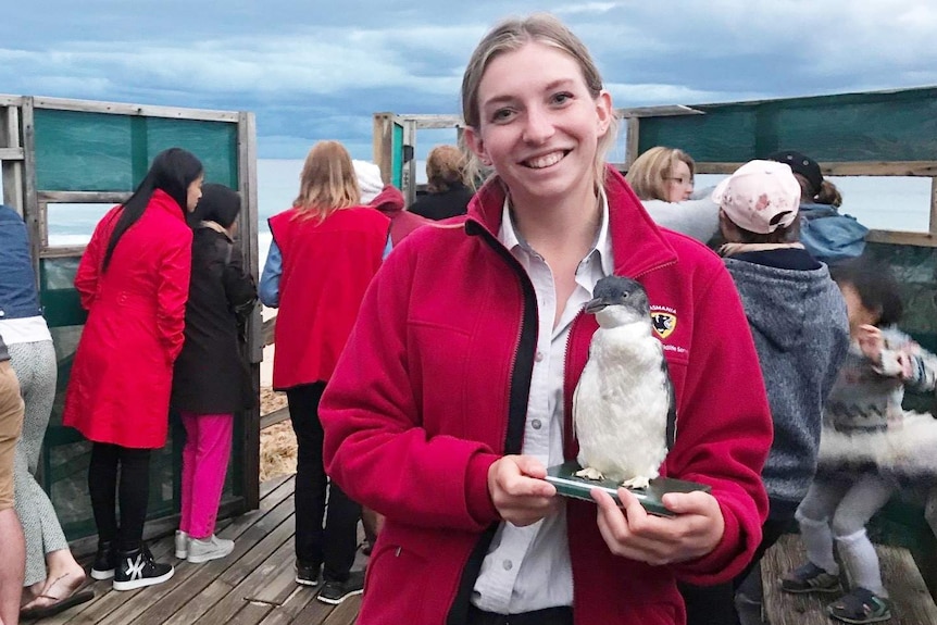 A young woman holds a stuffed penguin at a penguin tourism shelter