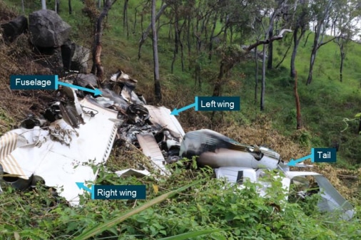 A light plane which has been split apart following a crash into a vegetated area.