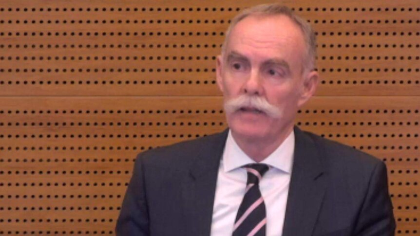 Australian Super chief executive Ian Silk sits in the witness box at the Royal Commission.