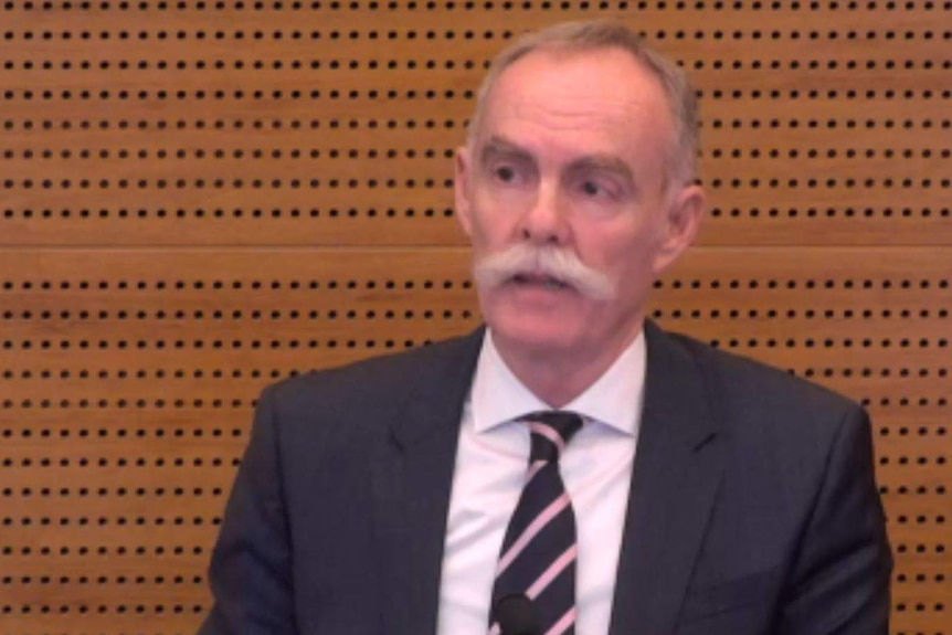 Australian Super chief executive Ian Silk sits in the witness box at the Royal Commission.