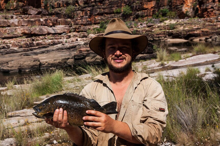Researcher Matthew Le Feuvre holds a sooty grunter fish in WA's Kimberley