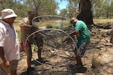 Rangers empty a fish net on the bank of the Moonie River near Thallon.