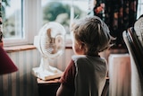 The back of a young boy's head is seen as he faces a small portable fan. Behind that a window looks out over a blurred yard.
