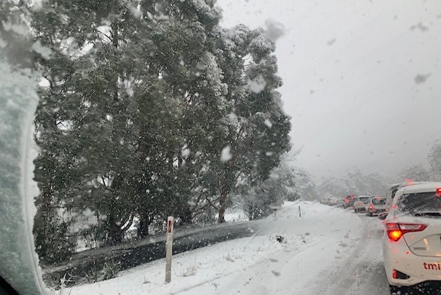 Cars queue on a snow-bound road near kunanyi/Mount Wellington